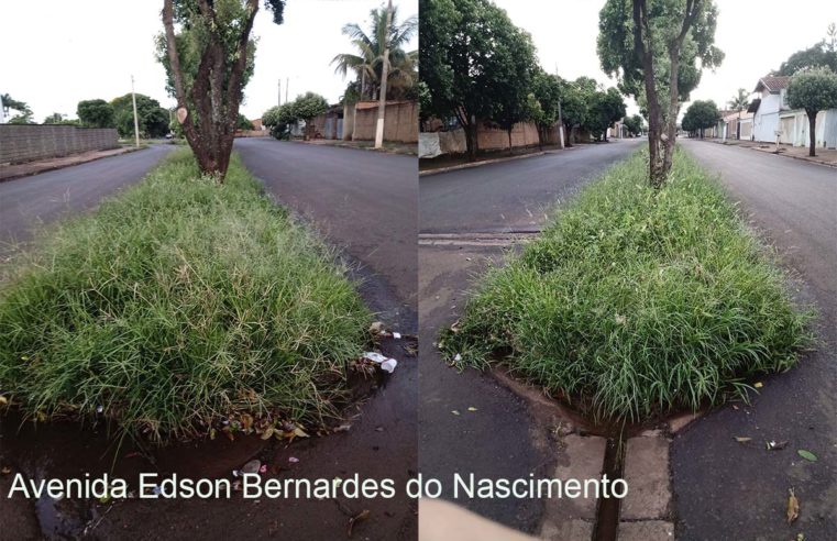 Em Guaíra: Moradores voltam a reclamar de mato alto em canteiro central de avenida