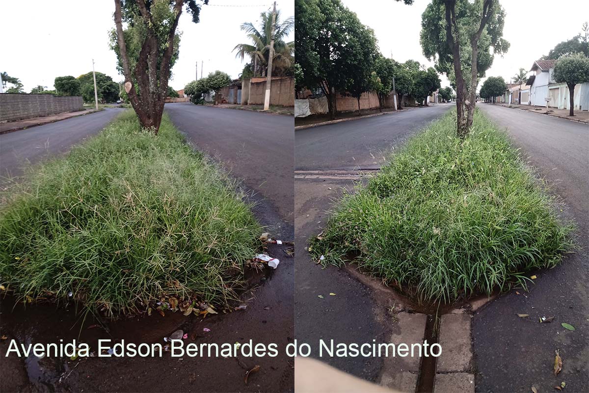 Em Guaíra: Moradores voltam a reclamar de mato alto em canteiro central de avenida