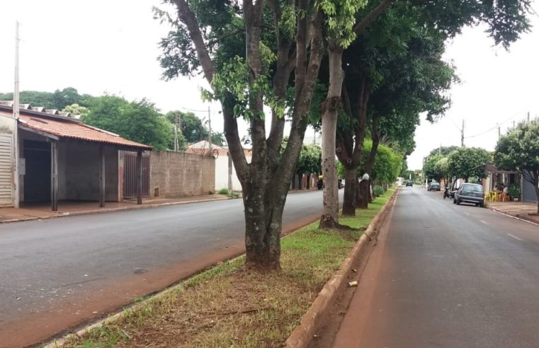 Em Guaíra: Após reclamação da população, prefeitura faz limpeza de avenida