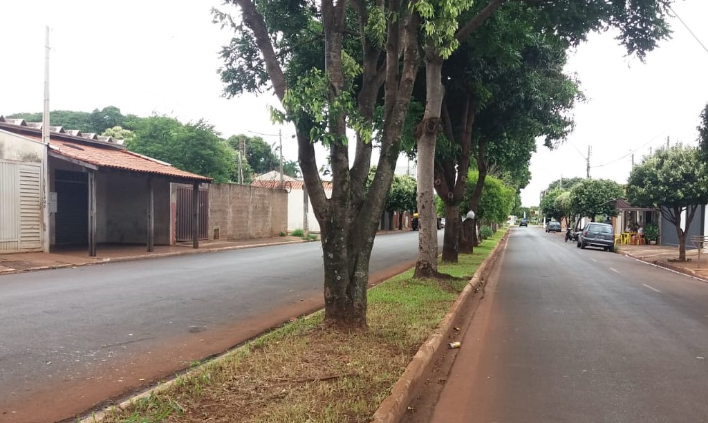 Em Guaíra: Após reclamação da população, prefeitura faz limpeza de avenida