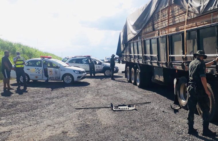 Região: Polícia Ambiental faz balanço da Operação “Pan Amazônica”