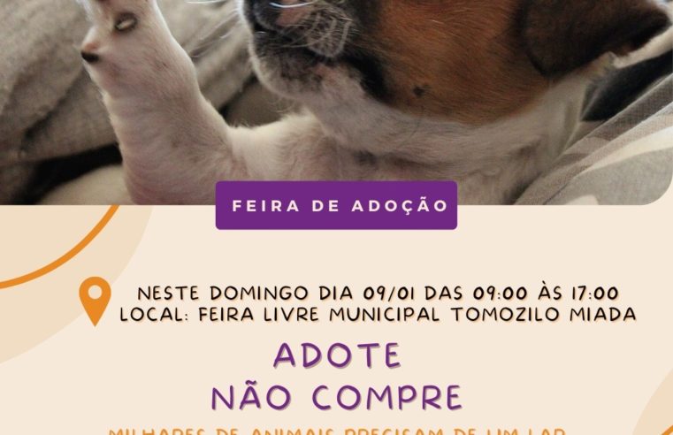 Em Guaíra: Neste domingo tem plantão de adoção animal na Feira Livre