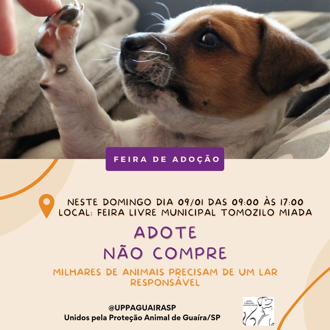 Em Guaíra: Neste domingo tem plantão de adoção animal na Feira Livre