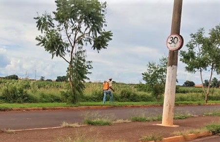 Em Guaíra: Pessoas usam capina química para controle da vegetação indesejada. Prática é ilegal