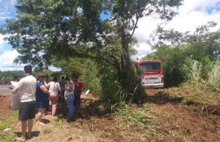 Em Barretos: Ônibus perde controle e para em vegetação às margens da SP-425