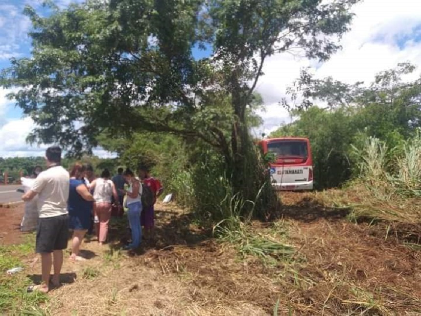 Em Barretos: Ônibus perde controle e para em vegetação às margens da SP-425