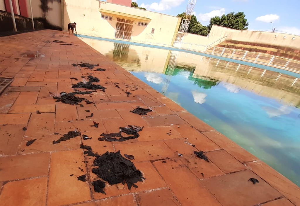 Em Guaíra: População denuncia situação de abandono da piscina da escola Vera Vitali