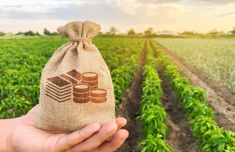 Exportações do agro paulista aumentam 9,5% em 2021