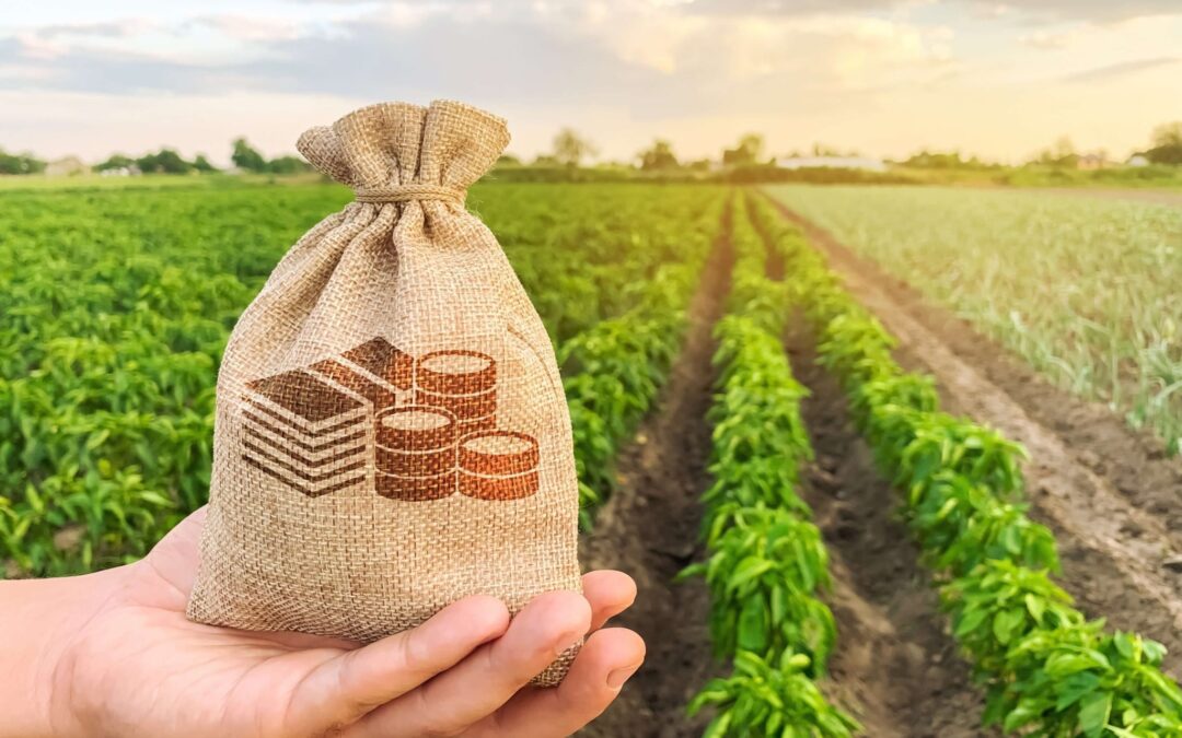 Exportações do agro paulista aumentam 9,5% em 2021