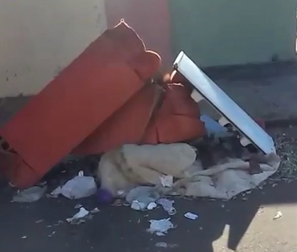 Em Guaíra: Em vídeo, moradores registram situação de sujeira no Bairro Bom Jesus