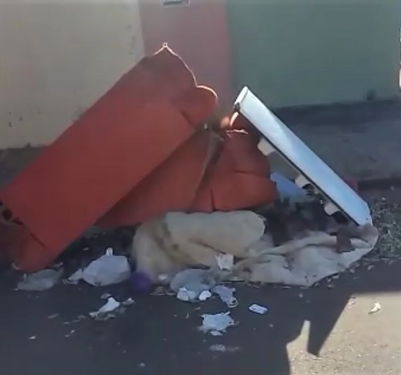 Em Guaíra: Em vídeo, moradores registram situação de sujeira no Bairro Bom Jesus