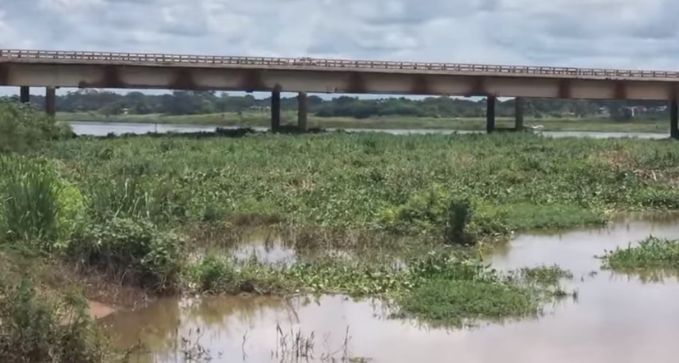 Em Colômbia: DNIT notifica Furnas para fazer limpeza de vegetação aquática próximo da ponte “Gumercindo Penteado”