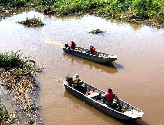 Em Colômbia: Equipe contratada por Furnas faz remoção de vegetação no Rio Grande