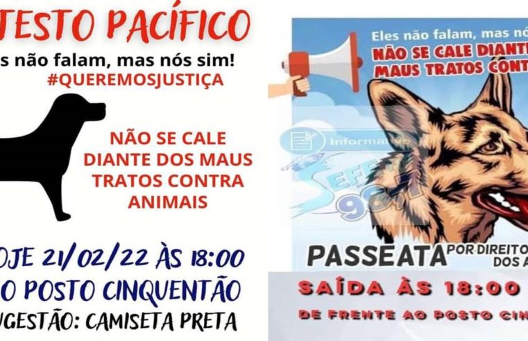 Em Guaíra: Entidades se unem em protesto contra maus tratos a animais, após flagrante que terminou em prisão na cidade