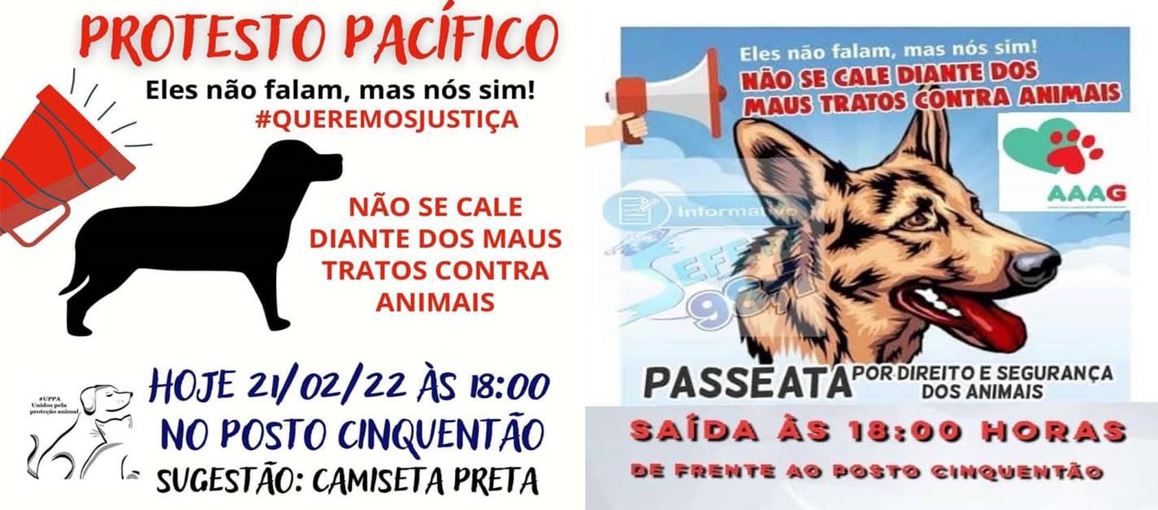 Em Guaíra: Entidades se unem em protesto contra maus tratos a animais, após flagrante que terminou em prisão na cidade