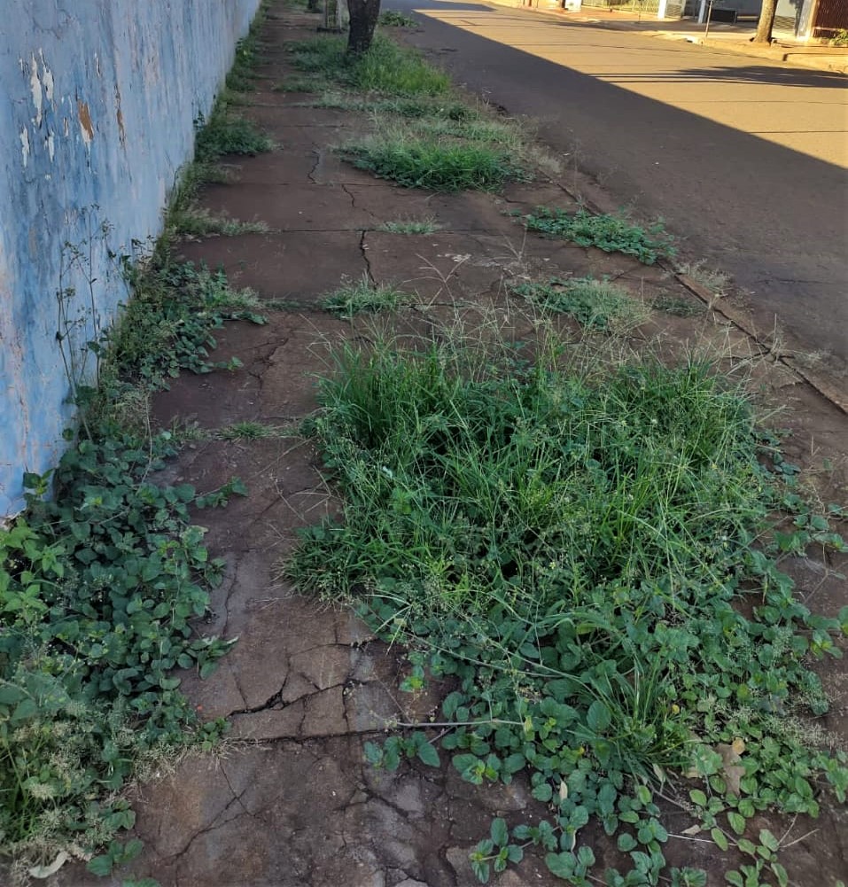 Em Guaíra: População reclama de mato alto em calçada da Secretaria de Saúde