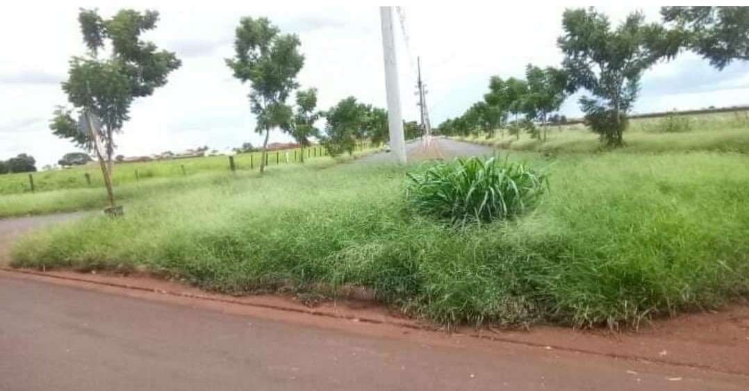 Em Guaíra: Moradores denunciam mato alto e cobras no Bairro Abdala Elias