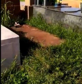 EM GUAÍRA: EM VÍDEO, MUNÍCIPE VOLTA DENUNCIAR ABANDONO DO CEMITÉRIO MUNICIPAL