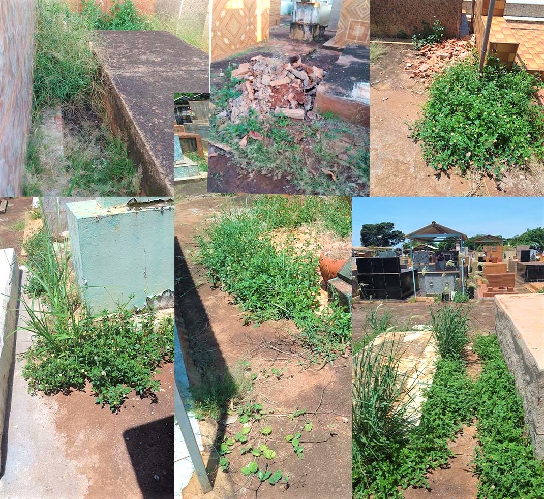 Em Guaíra: População denuncia lixo, mato alto e abandono do Cemitério Municipal