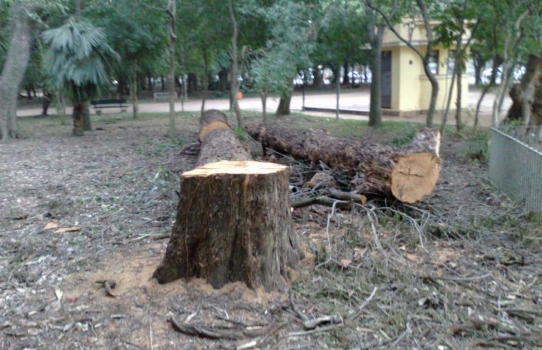 EM BARRETOS: IMAGENS DE SATÉLITE MOSTRAM CORTES DE ÁRVORES EM PROPRIEDADE. POLÍCIA AMBIENTAL MULTOU INFRATOR EM QUASE R$ 20 MIL. AUTOR TAMBÉM PODE SER AUTUADO POR PERFURAÇÃO DE POÇO SEM OUTORGA