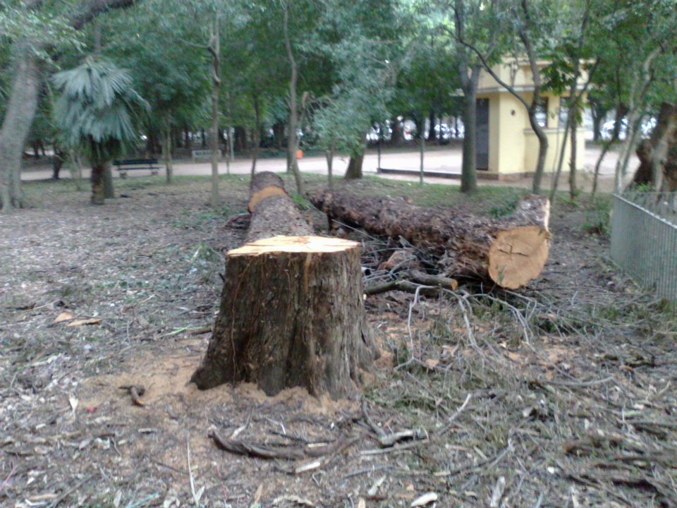 EM BARRETOS: IMAGENS DE SATÉLITE MOSTRAM CORTES DE ÁRVORES EM PROPRIEDADE. POLÍCIA AMBIENTAL MULTOU INFRATOR EM QUASE R$ 20 MIL. AUTOR TAMBÉM PODE SER AUTUADO POR PERFURAÇÃO DE POÇO SEM OUTORGA