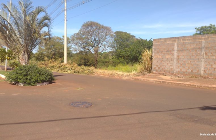 EM GUAÍRA: MORADORES RECLAMAM QUE PREFEITURA ROÇOU, MAS NÃO RETIROU DETRITOS NO BAIRRO CIDADE JARDIM