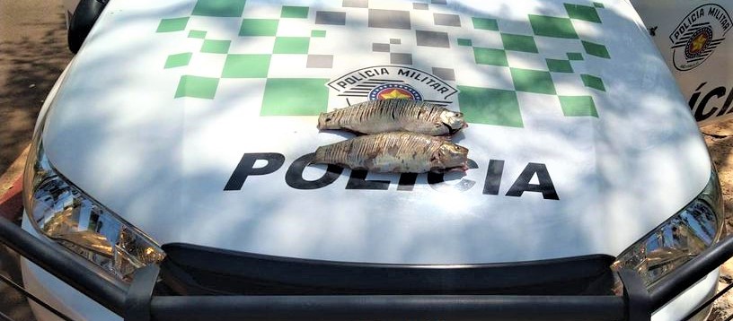EM COLÔMBIA: POR DOIS PEIXES IRREGULARES, HOMEM É MULTADO EM MAIS DE MIL REAIS