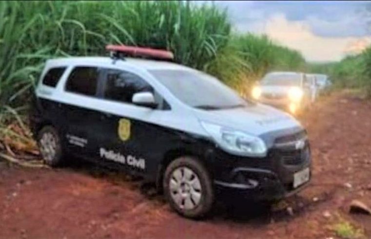 EM SERRANA: CORPOS CARBONIZADOS SÃO ENCONTRADOS EM CANAVIAL