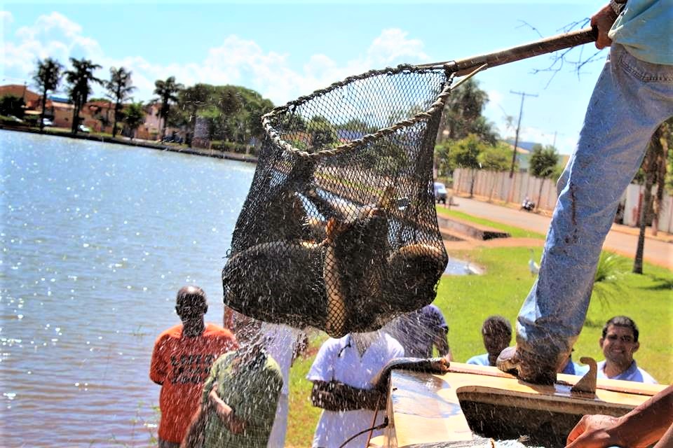 EM GUAÍRA: EMBORA ALEGANDO TER OPTADO POR DATA POSTERIOR PARA O TORNEIO DE PESCA, PREFEITURA NÃO TERIA LICITAÇÃO ABERTA PARA AQUISIÇÃO DE PEIXES