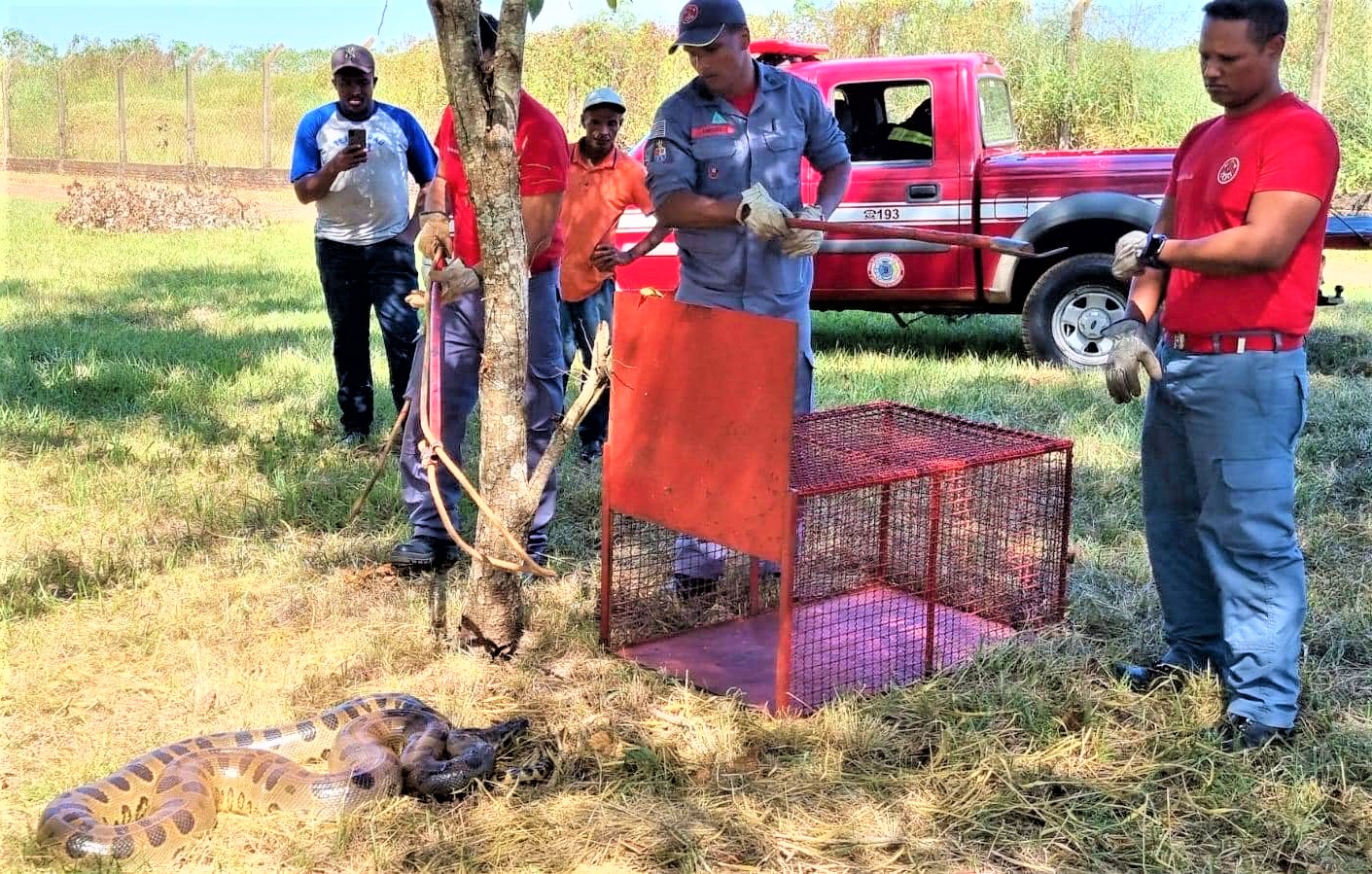 EM GUARÁ: SUCURI É ENCONTRADA EM GINÁSIO DE ESPORTES