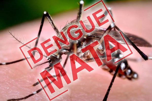 EM GUAÍRA: CIDADE REGISTRA PRIMEIRA MORTE POR SUSPEITA DE DENGUE