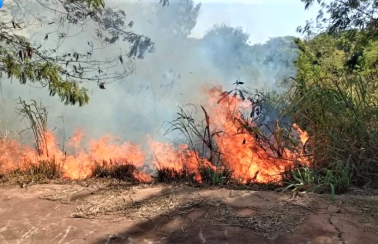 EM GUAÍRA: CONTROLADO INCÊNDIO, NESTE DOMINGO, EM MATA DO BAIRRO SÃO FRANCISCO