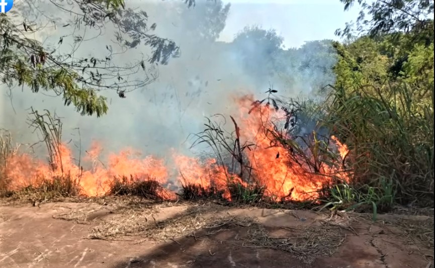 EM GUAÍRA: CONTROLADO INCÊNDIO, NESTE DOMINGO, EM MATA DO BAIRRO SÃO FRANCISCO