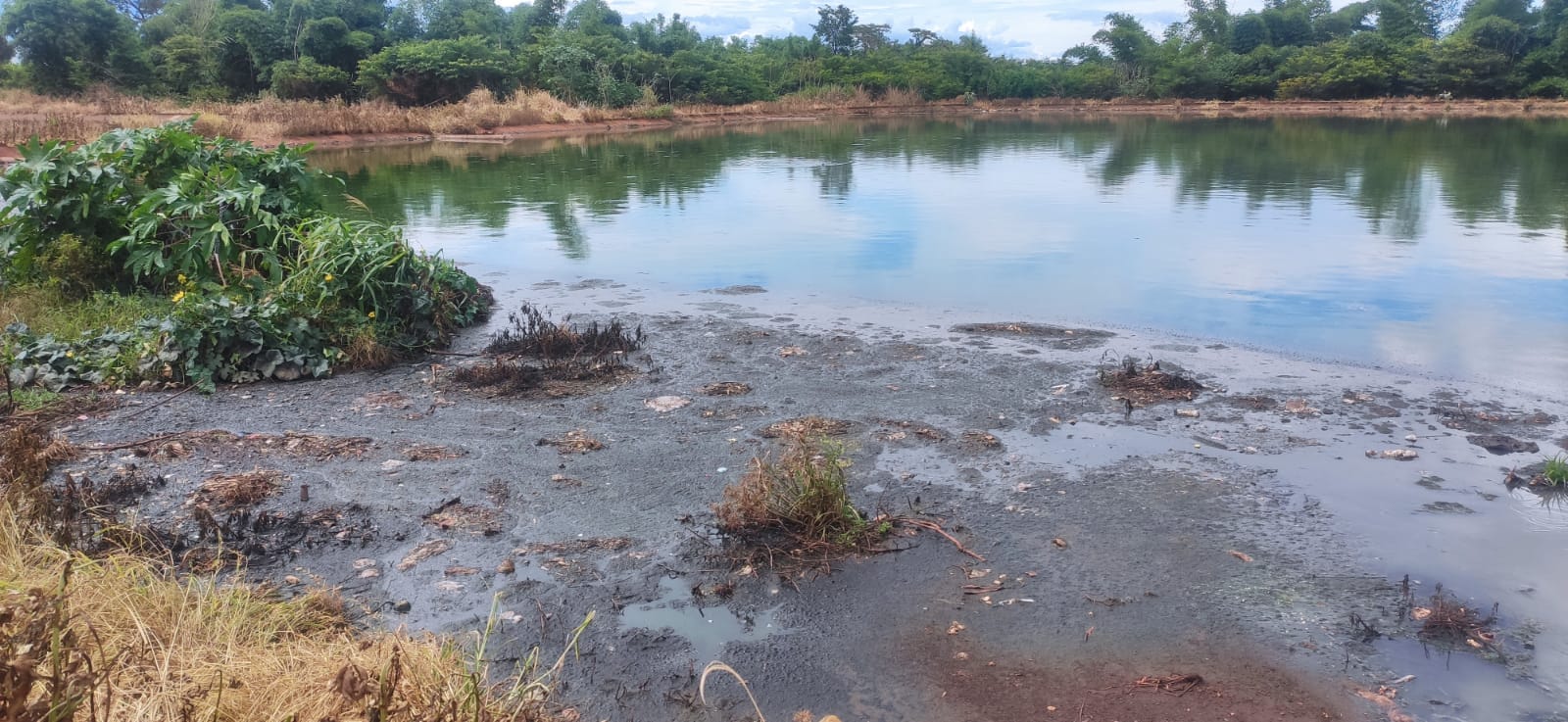 EM GUAÍRA: PREFEITURA AFIRMA QUE ESGOTO ESTÁ SENDO TRATADO DE FORMA INEFICIENTE