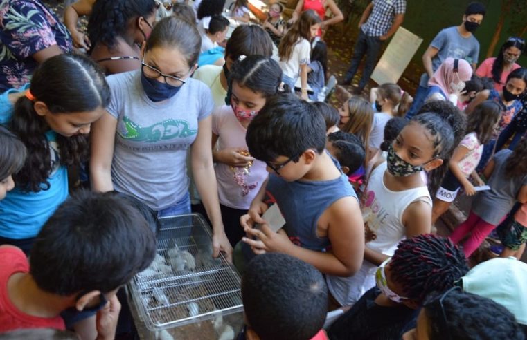 EM GUAÍRA: ZOOLÓGICO MUNICIPAL RECEBE DEZENAS DE CRIANÇAS NESTE DIA MUNDIAL DO MEIO AMBIENTE