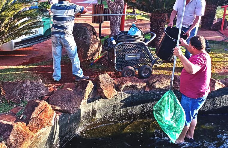 EM GUAIRA: TILÁPIAS DO JARDIM JAPONÊS SÃO TRANSFERIDAS PARA O LAGO MARACÁ