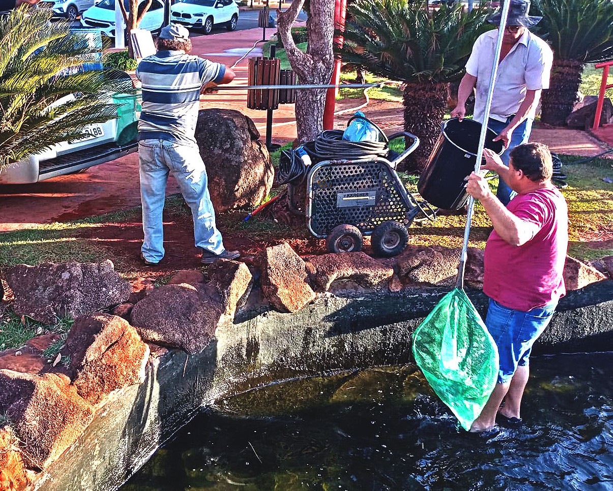 EM GUAIRA: TILÁPIAS DO JARDIM JAPONÊS SÃO TRANSFERIDAS PARA O LAGO MARACÁ