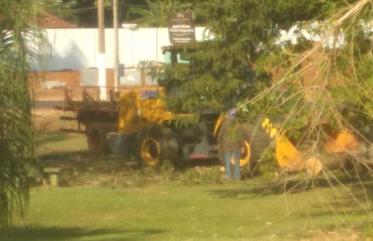 EM GUAÍRA: INICIADA RETIRADA DE ÁRVORES PARA CONSTRUÇÃO DE ROTATÓRIA NO ENTORNO DO PARQUE MARACÁ