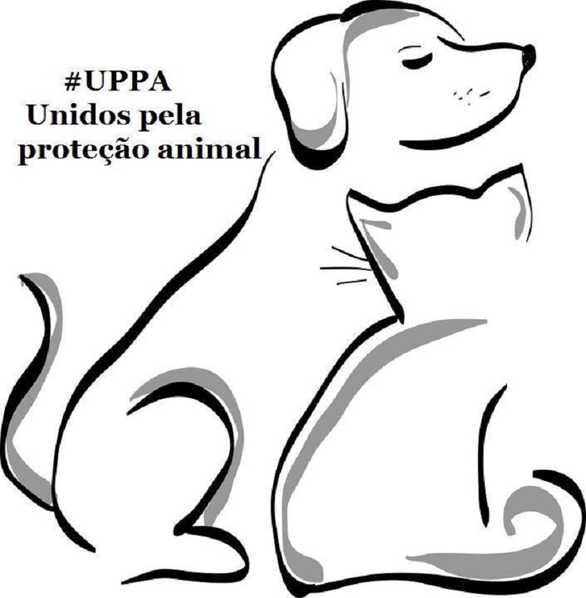 EM GUAÍRA: UPPA É OBRIGADA A DEIXAR LOCAL DE ABRIGO PARA ANIMAIS