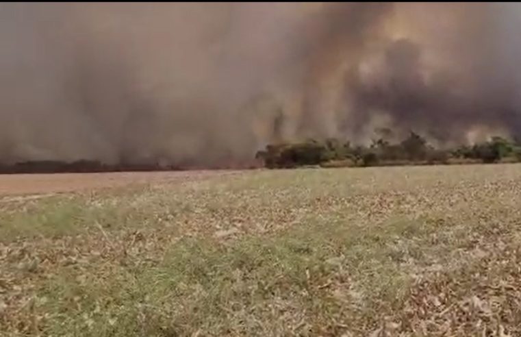 EM GUAÍRA: INCÊNDIO INICIADO NA REGIÃO DO CERVO ATINGE IMEDIAÇÕES DA RODOVIA ASSIS CHATEAUBRIAND