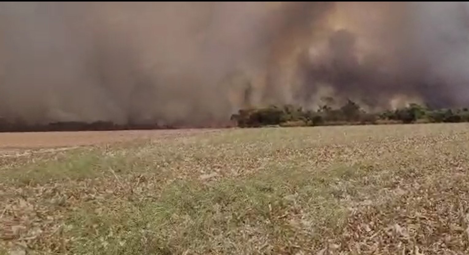 EM GUAÍRA: INCÊNDIO INICIADO NA REGIÃO DO CERVO ATINGE IMEDIAÇÕES DA RODOVIA ASSIS CHATEAUBRIAND