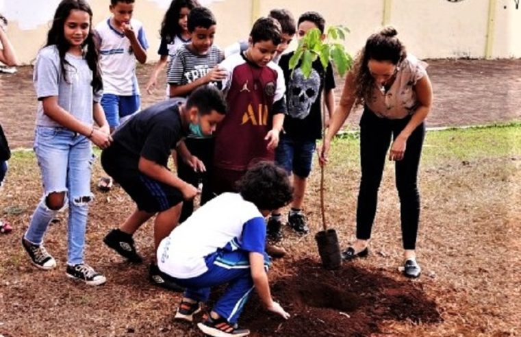 DIA DA ÁRVORE É CELEBRADO COM PLANTIO DE MUDAS EM GUAÍRA