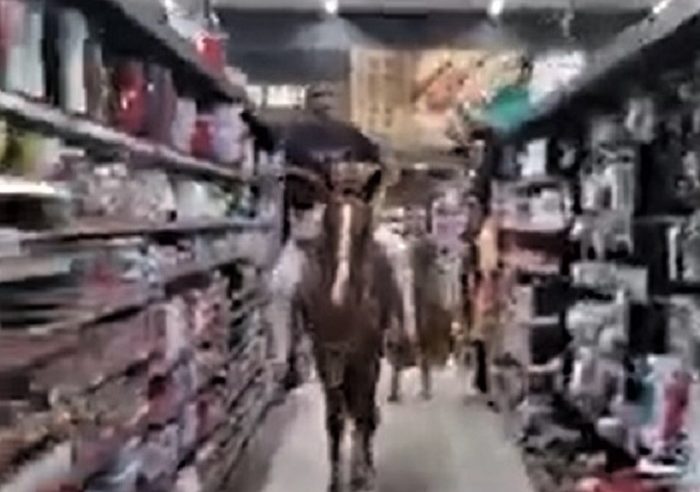 HOMEM ENTRA EM SUPERMERCADO MONTADO A CAVALO E É RETIRADO POR SEGURANÇAS; VÍDEO