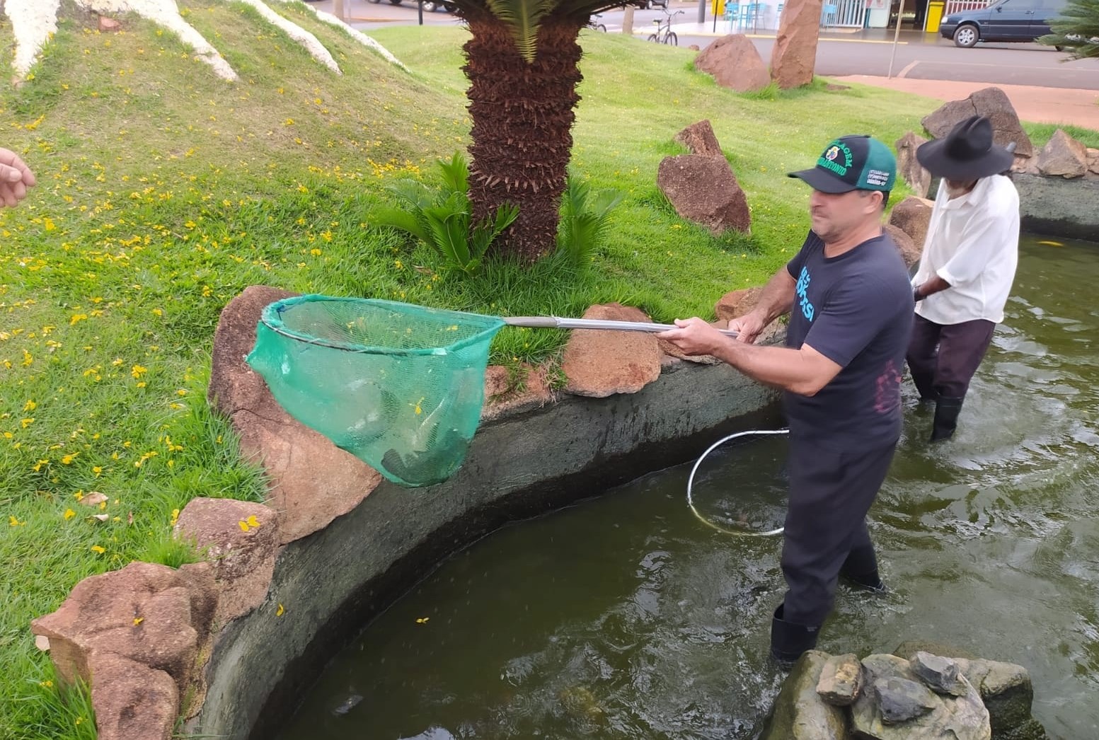 PREFEITURA DE GUAÍRA FAZ RETIRADA DE 250 TILÁPIAS DO LAGO JAPONÊS