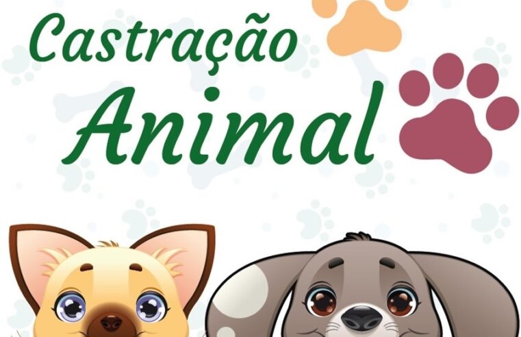 CASTRAÇÕES: INSCRIÇÕES PODEM SER FEITAS, HOJE, NO CENTRO DE CASTRAÇÃO ANIMAL DEGUAÍRA