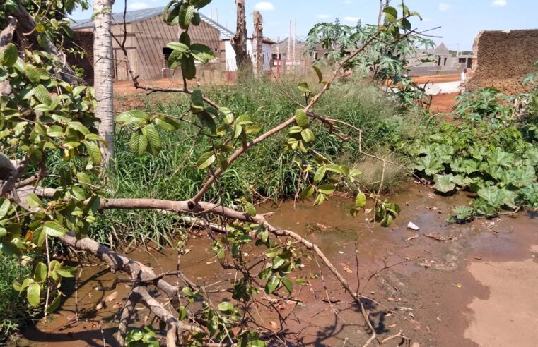 MATO ALTO E INSETOS TOMAM CONTA DE AVENIDA NO BAIRRO JOÃO VACARO, EM GUAÍRA