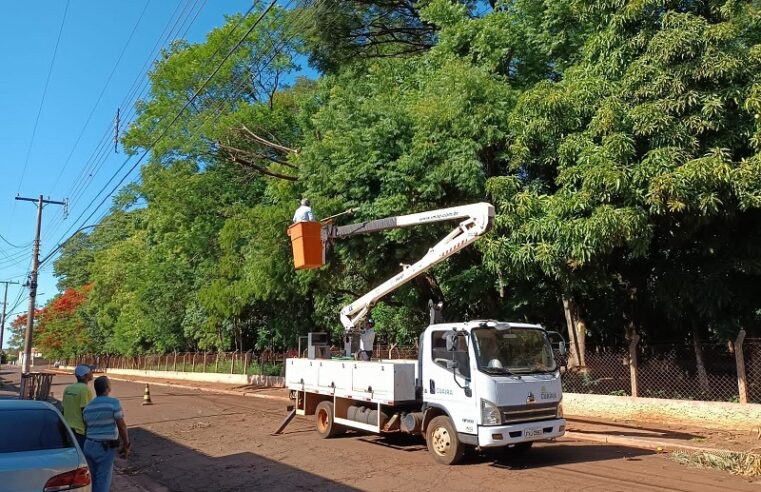 APÓS QUEDA DE GALHOS, PREFEITURA FAZ PODA DE ÁRVORES NO ZOO MUNICIPAL