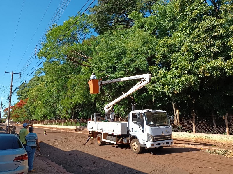 APÓS QUEDA DE GALHOS, PREFEITURA FAZ PODA DE ÁRVORES NO ZOO MUNICIPAL