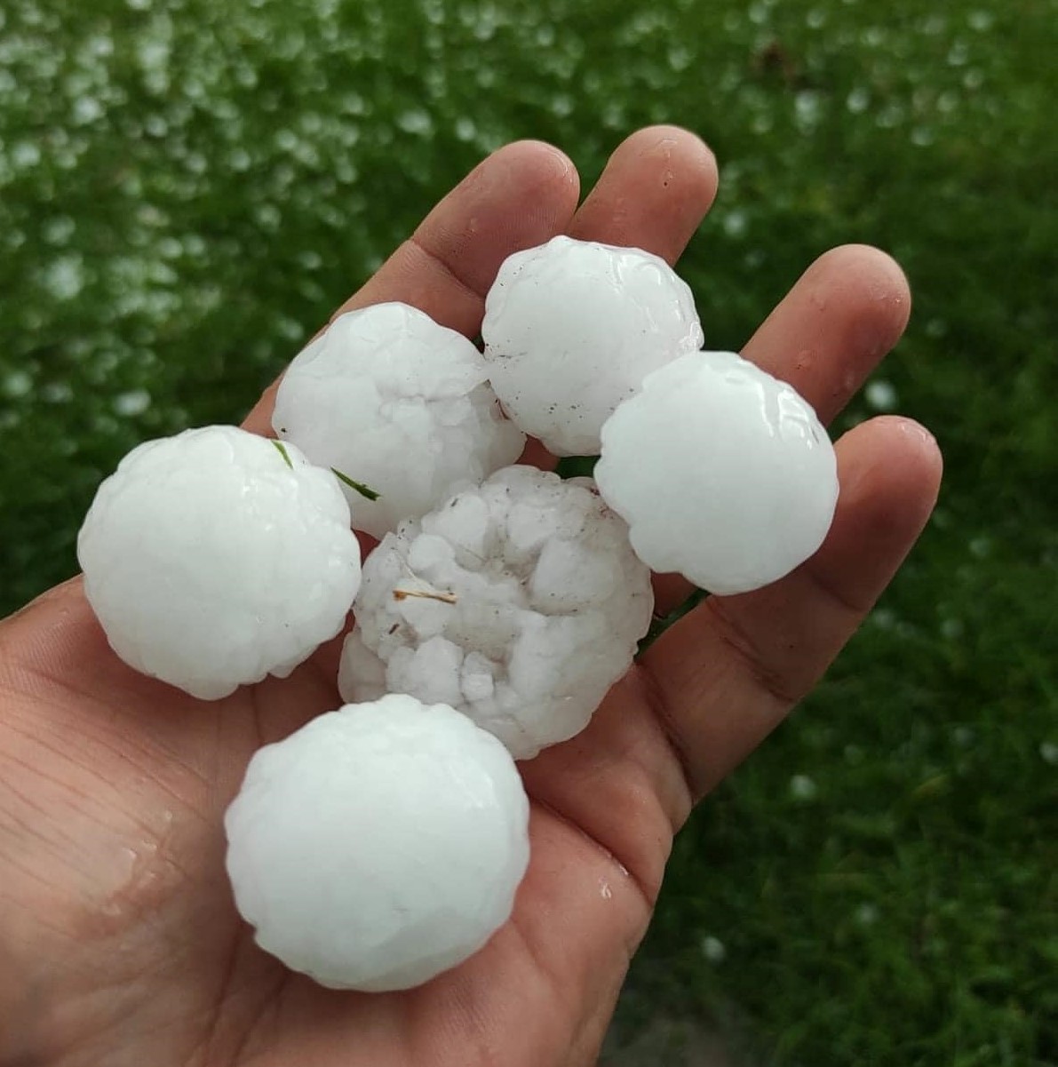 EM UBERABA: POPULAÇÃO REGISTRA CHUVA DE GRANIZO COM PEDRA DO TAMANHO DE BOLAS DE GUDE