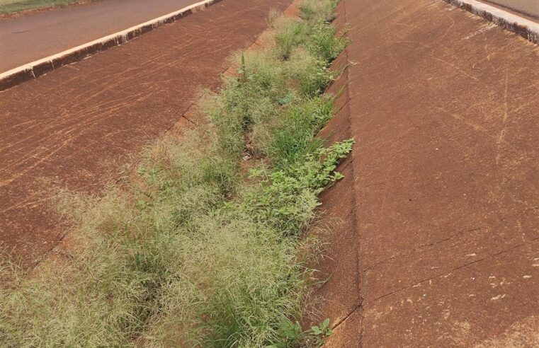 APÓS RECLAMAÇÃO, PREFEITURA LIMPA MATO QUE TOMAVA CONTA DE VALETA DE ÁGUAS PLUVIAIS NA COHAB 2